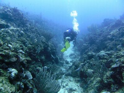 Los Carriles Diving Spot Las Galeras Samana